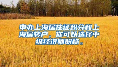 申办上海居住证积分和上海居转户，你可以选择中级经济师职称。