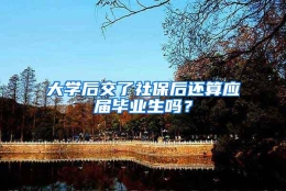 大学后交了社保后还算应届毕业生吗？