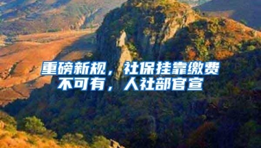 重磅新规，社保挂靠缴费不可有，人社部官宣