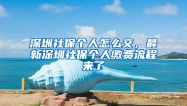 深圳社保个人怎么交，最新深圳社保个人缴费流程来了