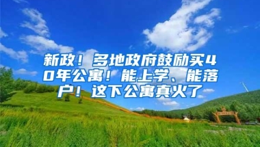 新政！多地政府鼓励买40年公寓！能上学、能落户！这下公寓真火了