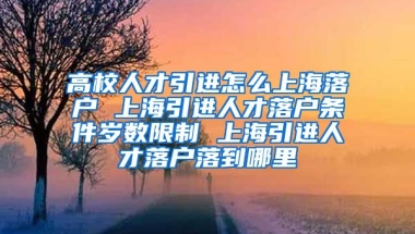 高校人才引进怎么上海落户 上海引进人才落户条件岁数限制 上海引进人才落户落到哪里