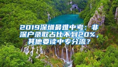 2019深圳最难中考：非深户录取占比不到20%，其他要读中专分流？