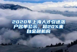 2020年上海人才引进落户名单公示，超20%来自金融机构