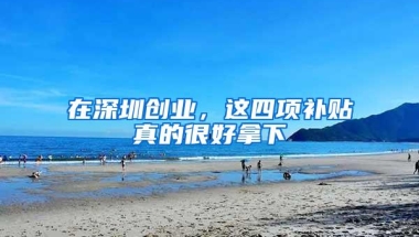 在深圳创业，这四项补贴真的很好拿下