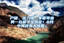 户籍、出入境、车管等业务一台机子全搞定！8月中旬还有大惊喜~