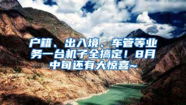 户籍、出入境、车管等业务一台机子全搞定！8月中旬还有大惊喜~