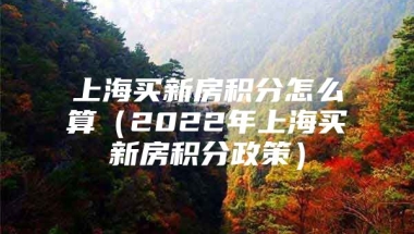 上海买新房积分怎么算（2022年上海买新房积分政策）