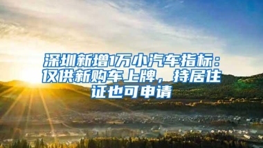 深圳新增1万小汽车指标：仅供新购车上牌，持居住证也可申请