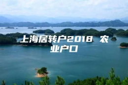 上海居转户2018 农业户口