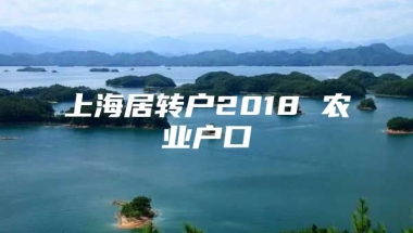 上海居转户2018 农业户口