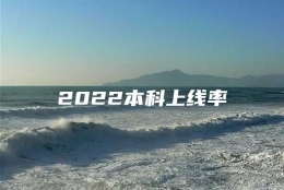 2022本科上线率