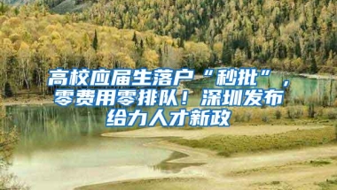 高校应届生落户“秒批”，零费用零排队！深圳发布给力人才新政