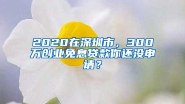 2020在深圳市，300万创业免息贷款你还没申请？