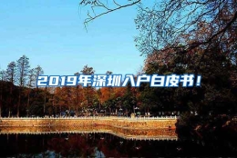 2019年深圳入户白皮书！