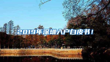 2019年深圳入户白皮书！