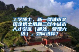 工学博士，新一线城市某国企博士后和三线小城市人才引进（副处，管理六级），如何选择？