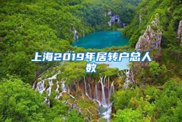 上海2019年居转户总人数