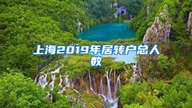 上海2019年居转户总人数