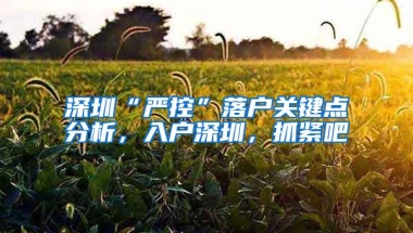 深圳“严控”落户关键点分析，入户深圳，抓紧吧