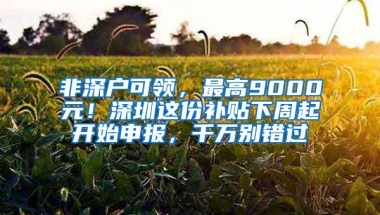 非深户可领，最高9000元！深圳这份补贴下周起开始申报，千万别错过