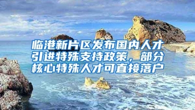 临港新片区发布国内人才引进特殊支持政策，部分核心特殊人才可直接落户