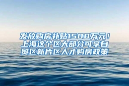 发放购房补贴1500万元！上海这个区大部分可享自贸区新片区人才购房政策