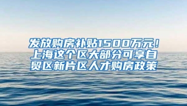 发放购房补贴1500万元！上海这个区大部分可享自贸区新片区人才购房政策