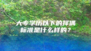 大专学历以下的择偶标准是什么样的？