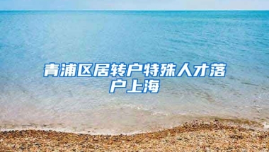 青浦区居转户特殊人才落户上海