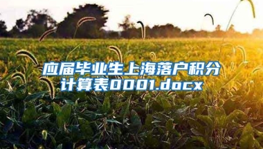 应届毕业生上海落户积分计算表0001.docx