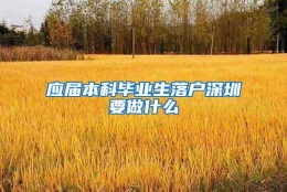 应届本科毕业生落户深圳要做什么