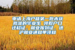 申请上海户籍第一批未获批准的毕业生 领取户口迁移证、就业报到证、进沪就业通知单须知