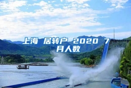 上海 居转户 2020 7 月人数