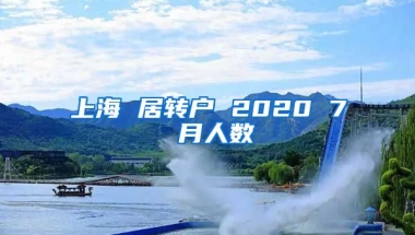 上海 居转户 2020 7 月人数