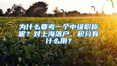 为什么要考一个中级职称呢？对上海落户、积分有什么用？