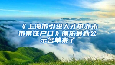 《上海市引进人才申办本市常住户口》浦东最新公示名单来了