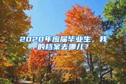 2020年应届毕业生，我的档案去哪儿？