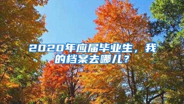 2020年应届毕业生，我的档案去哪儿？