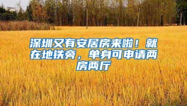 深圳又有安居房来啦！就在地铁旁，单身可申请两房两厅