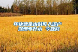 年快速拿本科可入深户 深圳专升本 今题网