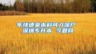 年快速拿本科可入深户 深圳专升本 今题网