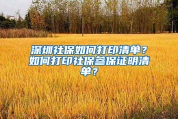 深圳社保如何打印清单？如何打印社保参保证明清单？