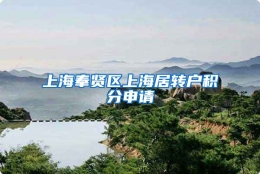 上海奉贤区上海居转户积分申请