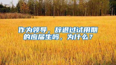 作为领导，辞退过试用期的应届生吗，为什么？