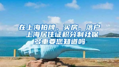 在上海拍牌、买房、落户 上海居住证积分制社保多重要您知道吗