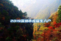 2019深圳市应届生入户