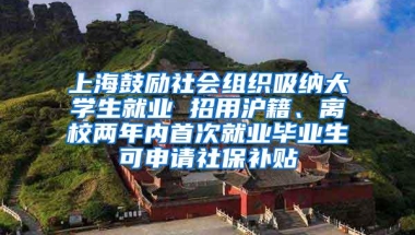 上海鼓励社会组织吸纳大学生就业 招用沪籍、离校两年内首次就业毕业生可申请社保补贴