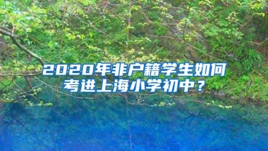 2020年非户籍学生如何考进上海小学初中？