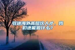 引进海外高层次人才，我们还能做什么？